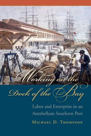 Kniha Working on the Dock of the Bay: Labor and Enterprise in an Antebellum Southern Port Michael D. Thompson