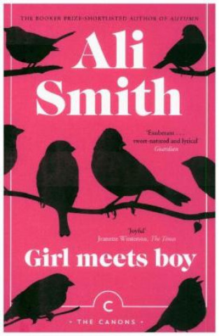 Kniha Girl Meets Boy Ali Smith