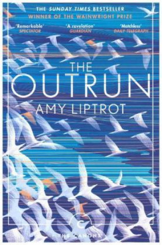 Книга Outrun Amy Liptrot