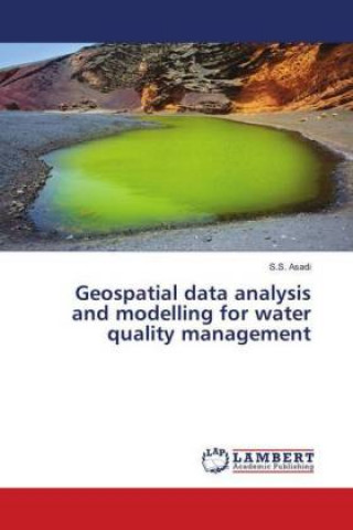 Könyv Geospatial data analysis and modelling for water quality management S. S. Asadi