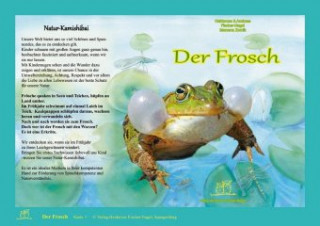 Libro Natur-Kamishibai - Der Frosch Heiderose Fischer-Nagel