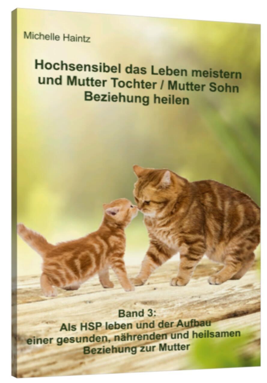 Kniha Hochsensibel das Leben meistern und Mutter Tochter / Mutter Sohn Beziehung heilen Michelle Haintz