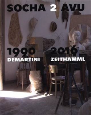 Könyv Socha 2 AVU 1990-2016 / Demartini - Zeithamml 