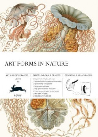 Kniha Art Forms in Nature Pepin Van Roojen