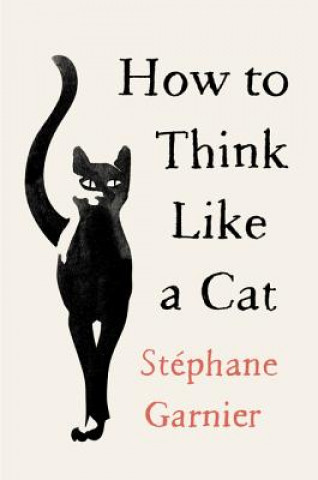 Kniha How to Think Like a Cat Stephane Garnier