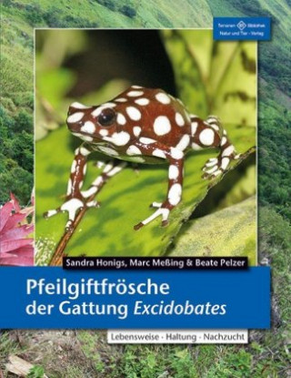Kniha Pfeilgiftfrösche der Gattung Excidobates Sandra Honigs