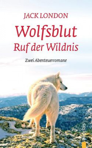Kniha Wolfsblut / Ruf Der Wildnis: Jack London. Abenteuerromane Jack London