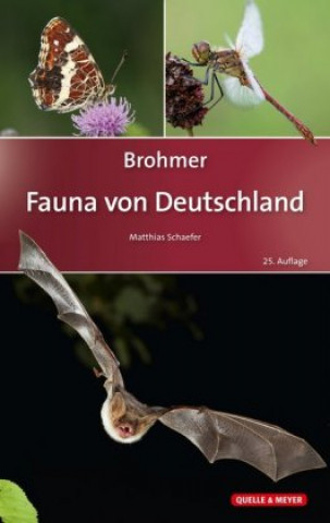 Buch Brohmer - Fauna von Deutschland Matthias Schaefer