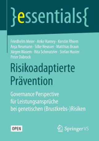 Buch Risikoadaptierte Pravention Friedhelm Meier