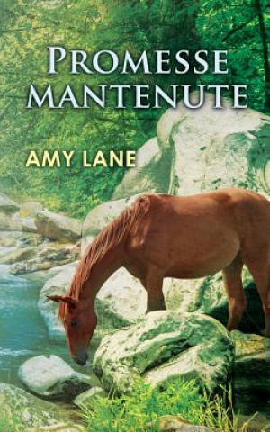 Könyv Promesse Mantenute Amy Lane