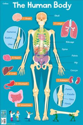 Książka Human Body Collins Maps