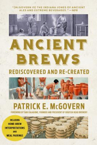 Kniha Ancient Brews Patrick E McGovern