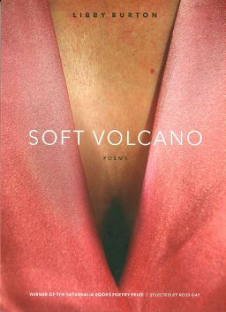 Knjiga Soft Volcano Libby Burton