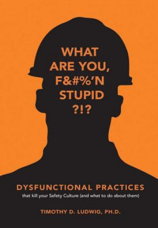 Knjiga Dysfunctional Practices TIMOTHY LUDWIG