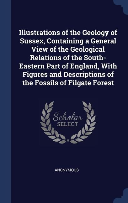 Kniha ILLUSTRATIONS OF THE GEOLOGY OF SUSSEX, 