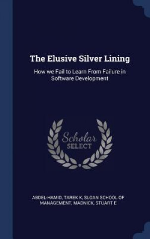 Livre Elusive Silver Lining Tarek K Abdel-Hamid