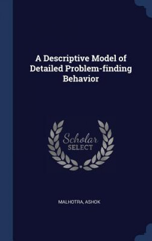 Buch A DESCRIPTIVE MODEL OF DETAILED PROBLEM- ASHOK MALHOTRA