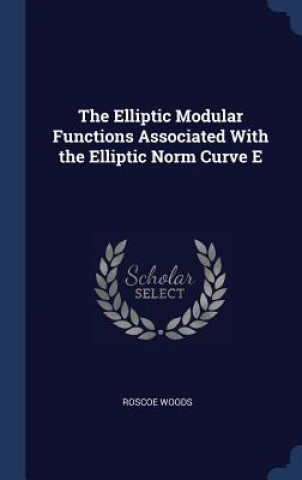 Boek Elliptic Modular Functions Associated with the Elliptic Norm Curve E Roscoe Woods