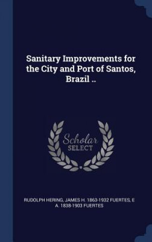 Book SANITARY IMPROVEMENTS FOR THE CITY AND P RUDOLPH HERING