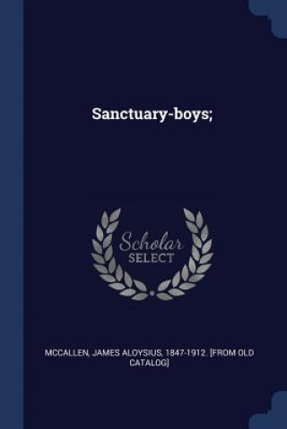 Kniha SANCTUARY-BOYS; JAMES ALOY MCCALLEN