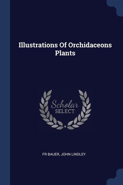 Knjiga ILLUSTRATIONS OF ORCHIDACEONS PLANTS FR BAUER