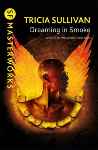 Kniha Dreaming In Smoke Tricia Sullivan