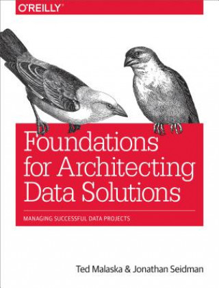 Könyv Foundations for Architecting Data Solutions Ted Malaska