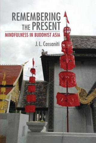 Knjiga Remembering the Present Julia (Washington State University) Cassaniti