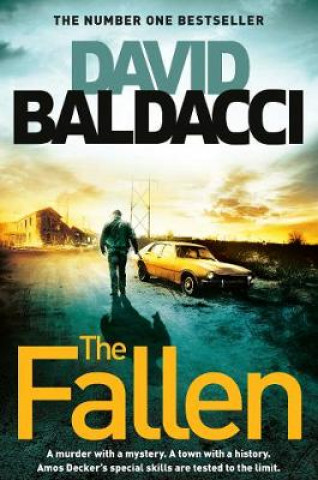 Kniha Fallen David Baldacci