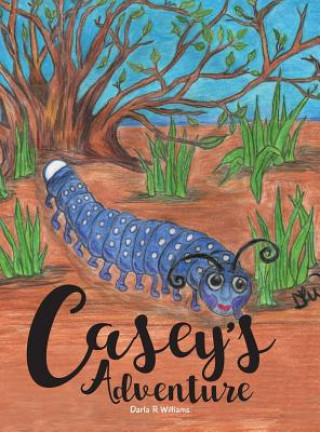 Book Casey's Adventure DARLA R WILLIAMS
