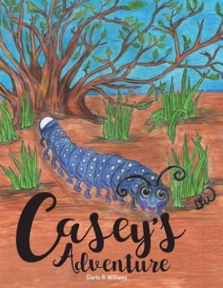 Book Casey's Adventure DARLA R WILLIAMS