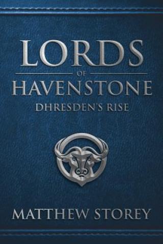 Buch Lords of Havenstone MATTHEW STOREY