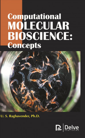 Kniha Computational Molecular Bioscience U.S. Raghavender