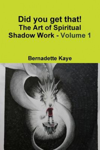 Carte Did you get that! The Art of Spiritual Shadow Work - Volume 1 BERNADETTE KAYE