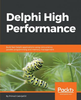 Könyv Delphi High Performance Primoz Gabrijelcic