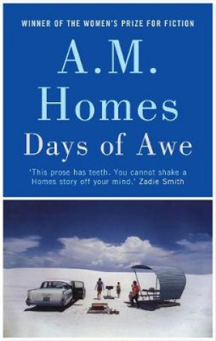 Könyv Days of Awe A.M. (Y) Homes