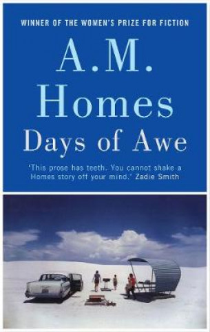 Buch Days of Awe A.M. (Y) Homes