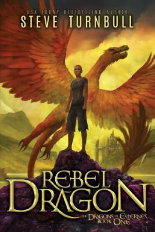Knjiga Rebel Dragon Steve Turnbull