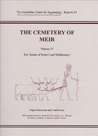Kniha Cemetery of Meir LINDA EVANS