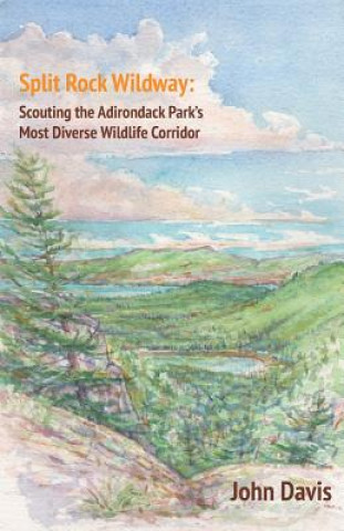 Libro Split Rock Wildway: Scouting the Adirondack Park's Most Diverse Wildlife Corridor John Davis