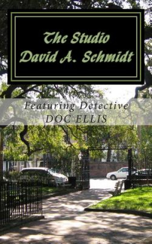 Buch The Studio David a Schmidt