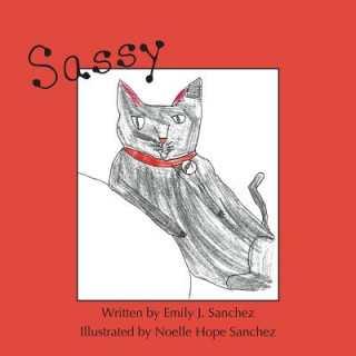 Książka Sassy Emily Sanchez