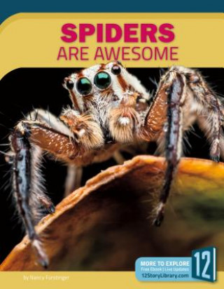 Libro Spiders Are Awesome Nancy Furstinger