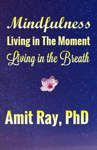 Kniha Mindfulness: Living in the Moment Living in the Breath Amit Ray