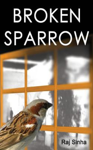 Knjiga Broken Sparrow Raj Sinha