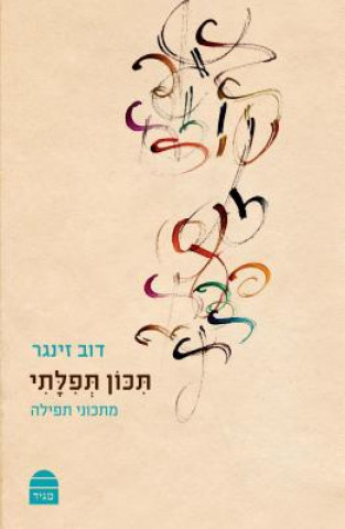 Carte Tikon Tefilati Dov Singer