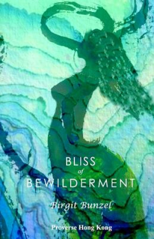 Livre Bliss of Bewilderment Birgit Bunzel Linder