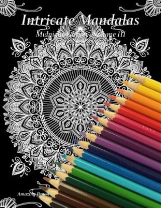 Buch Intricate Mandalas, Midnight Edition, Volume 3 Amazing Pencil