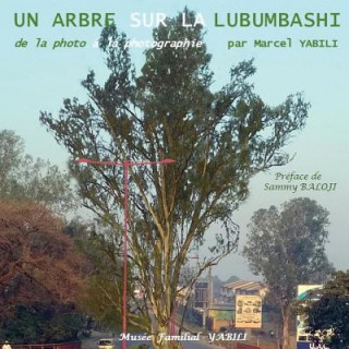 Kniha De la photo ? la photographie: Un arbre sur la Lubumbashi Marcel Yabili