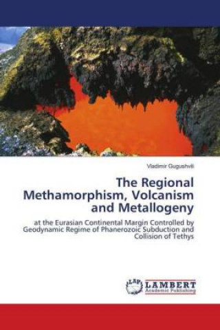 Kniha The Regional Methamorphism, Volcanism and Metallogeny Vladimir Gugushvili